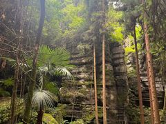 -梭布垭石林景区