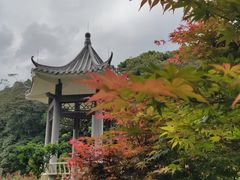 -广州市石门国家森林公园