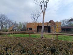 -扬州市茱萸湾风景区