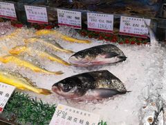 -沪华海鲜大酒楼(南汇店)