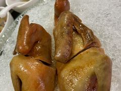 陈年花雕乳鸽-石岐乳鸽村(南海第三分店)