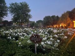 -洛阳市隋唐城遗址植物园