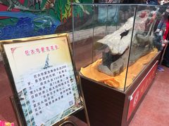 -诸城市恐龙博物馆