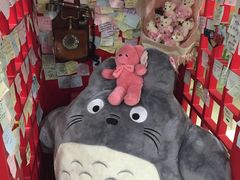 -幻彩摩天轮