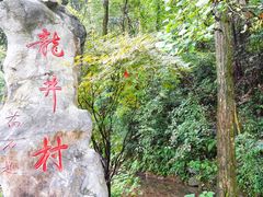 -龙井壹号·茶缘山景宴(龙井村店)
