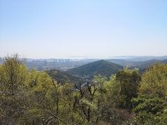 -惠山国家森林公园