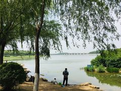 -丁香湖公园
