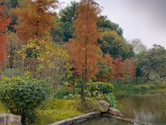 -云溪植物园