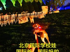 -日本大使馆-新闻文化中心