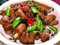 -青城甲(青城山店)