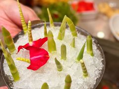 -芸山季·云南野生菌火锅(宝能环球汇店)