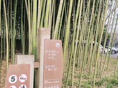 -都江堰中华大熊猫苑