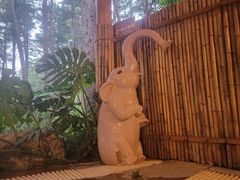 -华宁象鼻温泉旅游文化度假区