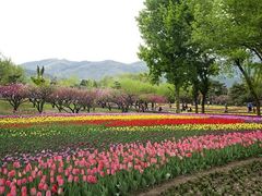 -北京植物园-展览温室