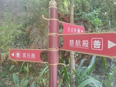 -成都老君山
