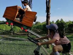 -圣露庄园·露营·烤肉·亲子