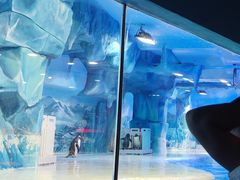 -长春中泰海洋世界