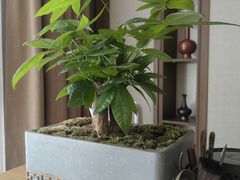 -守田肩颈·推拿SPA(颐豪旗舰店)