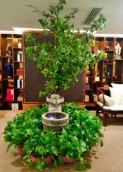 -至爱至信新中式SPA疗愈会所