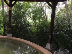 -天目湖涵田半山温泉