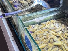 -四海蒸鲜蒸汽海鲜自助(北戴河店)