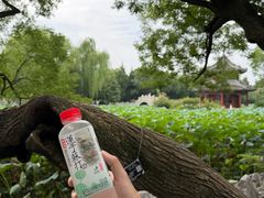 -莲池书院博物馆