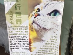-平行世界·猫咖(首经贸店)