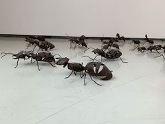 -四川美术学院美术馆