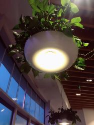 -悦诗风吟innisfree