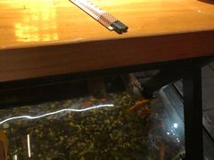 -颐和•海鲜砂锅粥•啫啫煲(奥林匹克广场店)