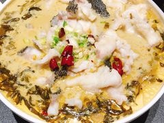 酸菜大石斑鱼-徐记海鲜(曲江南湖店)