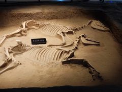 -洛阳周王城天子驾六博物馆