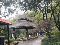 -融汇温泉