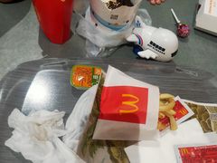 -麦当劳(北京大兴机场二层国内到达(安检外)店)