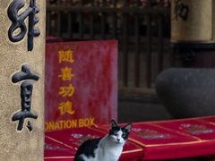 -龙华寺