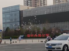 -海河外滩公园