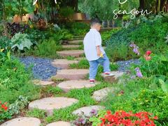 -人民公园(罗湖区)