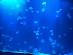 -福州罗源湾海洋世界旅游区