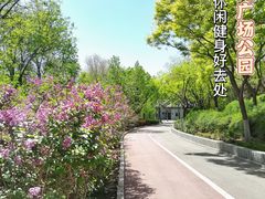 -滨河世纪广场公园