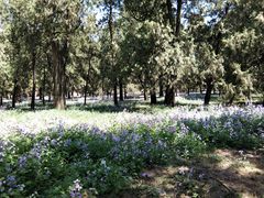 -搓火大都会(广安门总店)