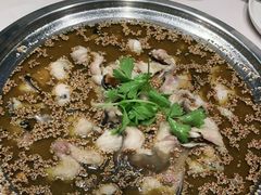 -蓉城鱼馆•活鱼现做(六道湾店)