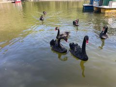 -静之湖度假区