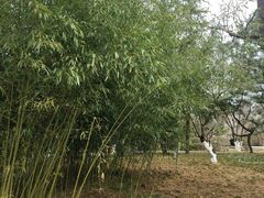 -燕儿岛山公园