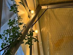 -Line 咖啡(石厦花园店)