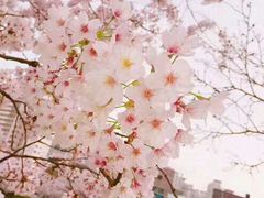 -胡桃里音乐酒馆(曲江店)