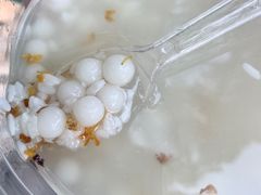 -潘玉麟糖粥