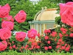 -武汉园博园(武汉自然博物馆)