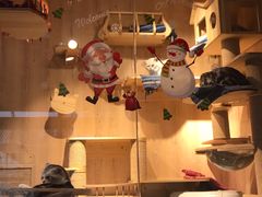 -米卢宠物公园(广华居店)