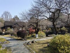 -杭州植物园