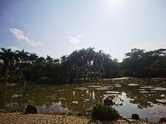 -中国科学院西双版纳热带植物园